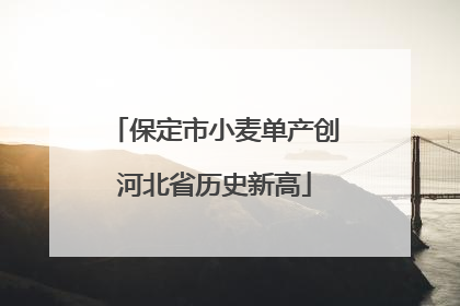 保定市小麦单产创河北省历史新高
