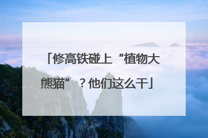 修高铁碰上“植物大熊猫”？他们这么干