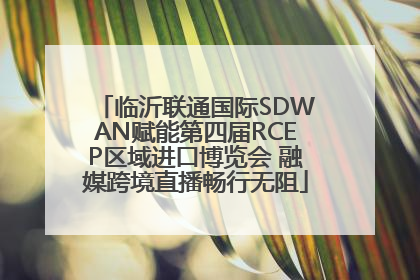 临沂联通国际SDWAN赋能第四届RCEP区域进口博览会 融媒跨境直播畅行无阻