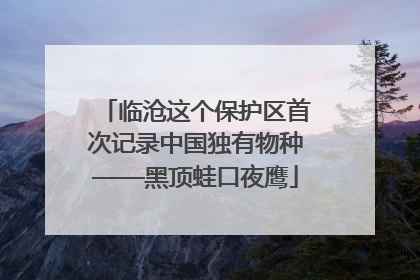 临沧这个保护区首次记录中国独有物种——黑顶蛙口夜鹰