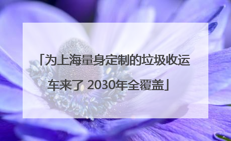 为上海量身定制的垃圾收运车来了 2030年全覆盖