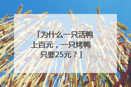 为什么一只活鸭上百元，一只烤鸭只要25元？