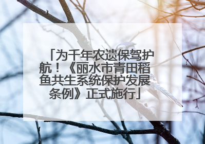 为千年农遗保驾护航！《丽水市青田稻鱼共生系统保护发展条例》正式施行