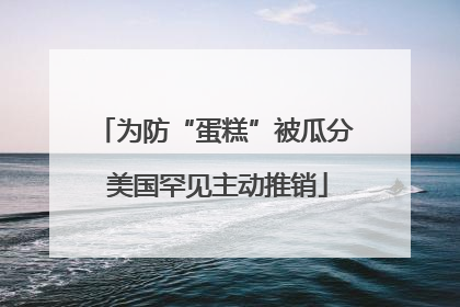 为防“蛋糕”被瓜分 美国罕见主动推销