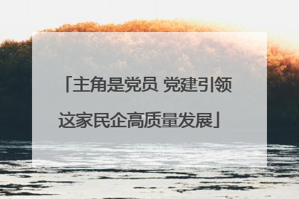主角是党员 党建引领这家民企高质量发展