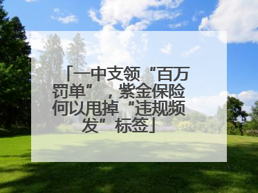 一中支领“百万罚单”，紫金保险何以甩掉“违规频发”标签