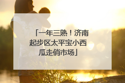 一年三熟！济南起步区太平宝小西瓜走俏市场