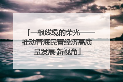 一根线缆的荣光——推动青海民营经济高质量发展·新视角