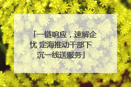 一链响应，速解企忧 定海推动干部下沉一线送服务