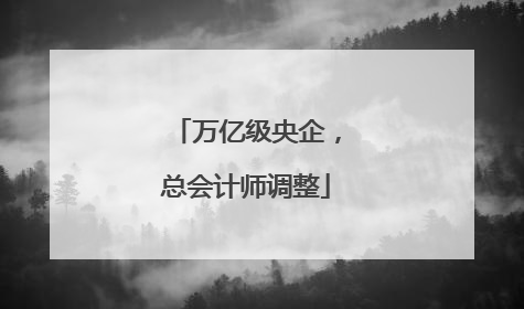 万亿级央企，总会计师调整