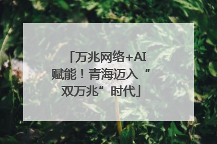 万兆网络+AI赋能！青海迈入“双万兆”时代