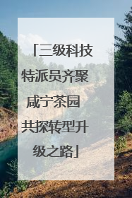 三级科技特派员齐聚咸宁茶园 共探转型升级之路