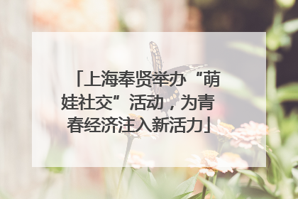 上海奉贤举办“萌娃社交”活动，为青春经济注入新活力