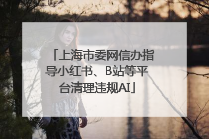 上海市委网信办指导小红书、B站等平台清理违规AI