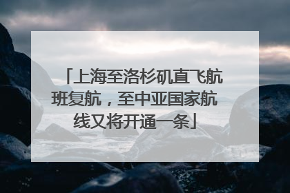 上海至洛杉矶直飞航班复航，至中亚国家航线又将开通一条
