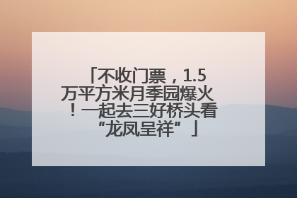 不收门票，1.5万平方米月季园爆火！一起去三好桥头看“龙凤呈祥”