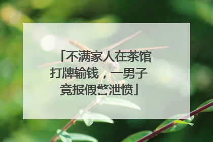 不满家人在茶馆打牌输钱，一男子竟报假警泄愤