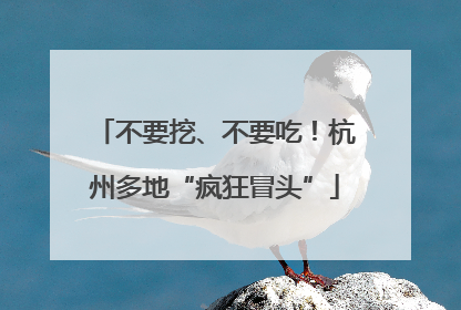 不要挖、不要吃！杭州多地“疯狂冒头”