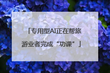 专用型AI正在帮旅游业者完成“功课”