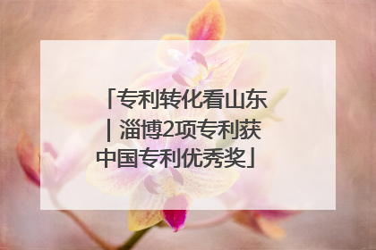 专利转化看山东｜淄博2项专利获中国专利优秀奖