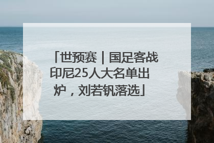 世预赛｜国足客战印尼25人大名单出炉，刘若钒落选