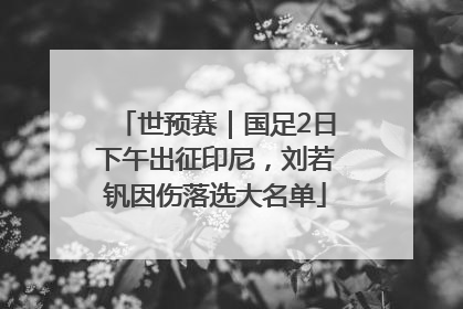 世预赛｜国足2日下午出征印尼，刘若钒因伤落选大名单