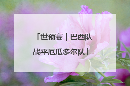 世预赛｜巴西队战平厄瓜多尔队