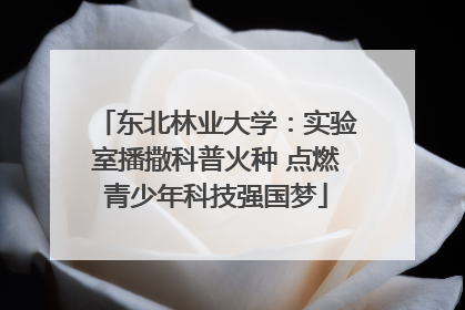 东北林业大学：实验室播撒科普火种 点燃青少年科技强国梦