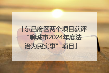 东昌府区两个项目获评“聊城市2024年度法治为民实事”项目