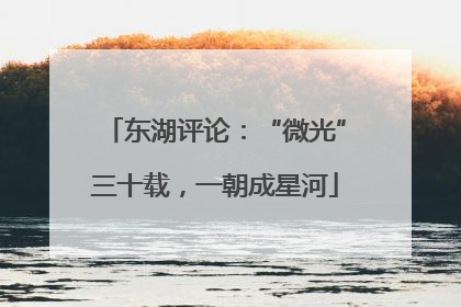 东湖评论：“微光”三十载，一朝成星河