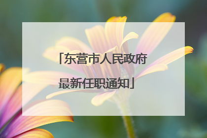 东营市人民政府最新任职通知