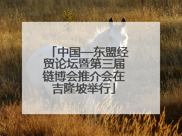 中国—东盟经贸论坛暨第三届链博会推介会在吉隆坡举行