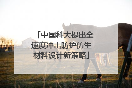 中国科大提出全速度冲击防护仿生材料设计新策略