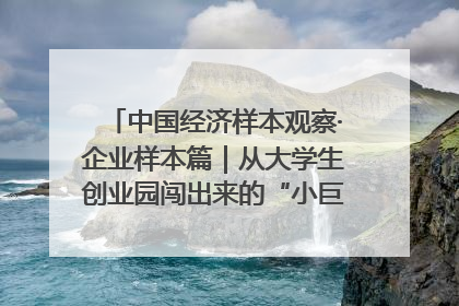 中国经济样本观察·企业样本篇｜从大学生创业园闯出来的“小巨人”——卡诺普机器人的逐梦历程