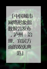中国城市网络形象指数报告发布，泸州：治理、宜居方面的双优典范