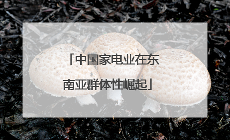 中国家电业在东南亚群体性崛起