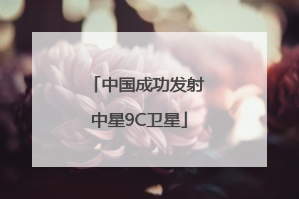中国成功发射中星9C卫星