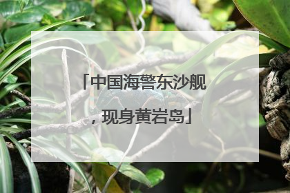 中国海警东沙舰，现身黄岩岛