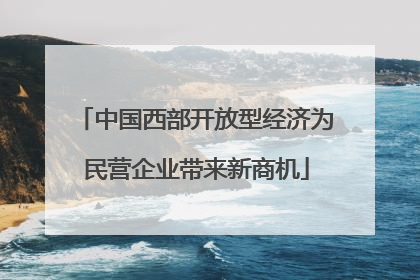 中国西部开放型经济为民营企业带来新商机