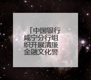 中国银行咸宁分行组织开展清廉金融文化警示教育