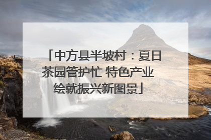 中方县半坡村：夏日茶园管护忙 特色产业绘就振兴新图景