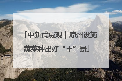 中新武威观｜凉州设施蔬菜种出好“丰”景