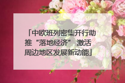中欧班列密集开行助推“落地经济” 激活周边地区发展新动能