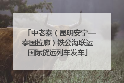 中老泰（昆明安宁—泰国拉廊）铁公海联运国际货运列车发车