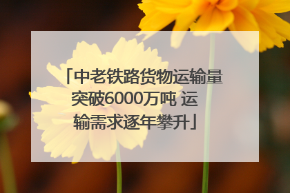中老铁路货物运输量突破6000万吨 运输需求逐年攀升