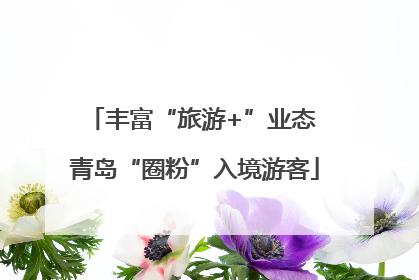 丰富“旅游+”业态 青岛“圈粉”入境游客