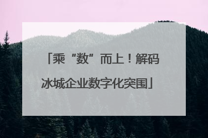 乘“数”而上！解码冰城企业数字化突围