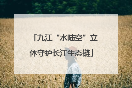 九江“水陆空”立体守护长江生态链