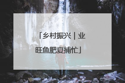 乡村振兴｜业旺鱼肥夏捕忙