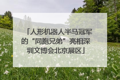 人形机器人半马冠军的“同胞兄弟”亮相深圳文博会北京展区